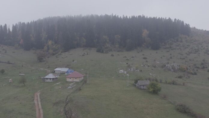 (foto)-ovu-sumu-u-srbiji-zovu-ukletom-niko-ne-sme-ni-granicicu-da-uzme,-svako-ko-se-ohrabrio-lose-je-prosao-–-mestani-obliznjeg-sela-je-vole,-ali-rado-zaobilaze