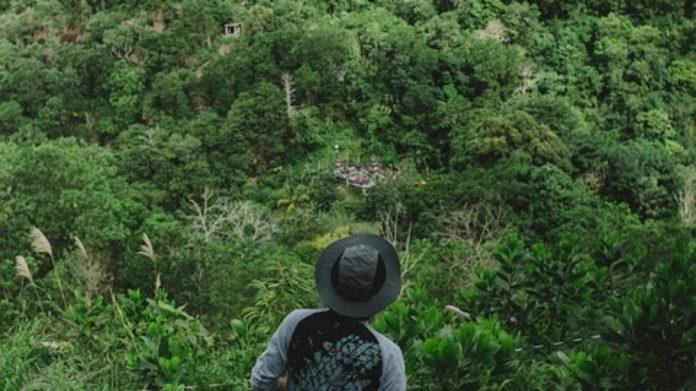 indonezija-objavila-tarifnik-za-ilegalno-rudarenje:-kazne-i-do-390.000-dolara-po-hektaru-unistene-sume