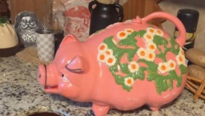 devojka-kupila-vintidz-kasicu-prasicu,-pa-je-sacekalo-iznenadenje:-platila-je-1.100-dinara,-a-novac-joj-se-vratio-stostruko-(video)