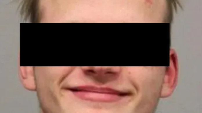 izbo-majku-i-cetvoro-dece-uhapsen-tinejdzer-zbog-napada-u-nemackoj:-devojcicu-(8)-krvnicki-ubadao-20-puta