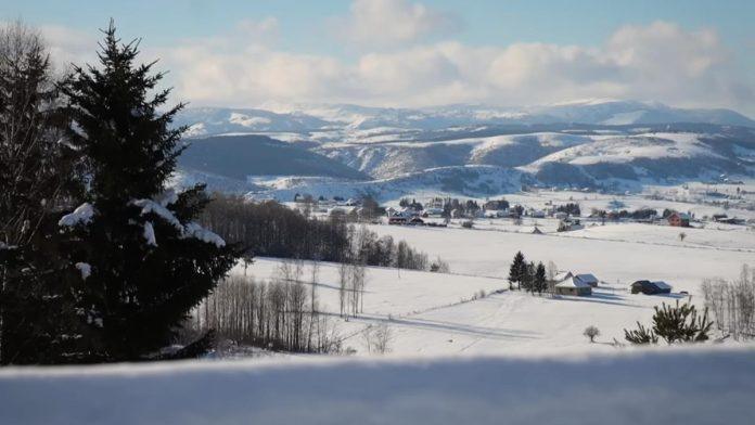 “sve-cesce-se-priblizavaju-naseljenim-podrucjima”-neobican-prizor-zabrinuo-mestane-pestera:-svojevrsno-upozorenje-stocarima