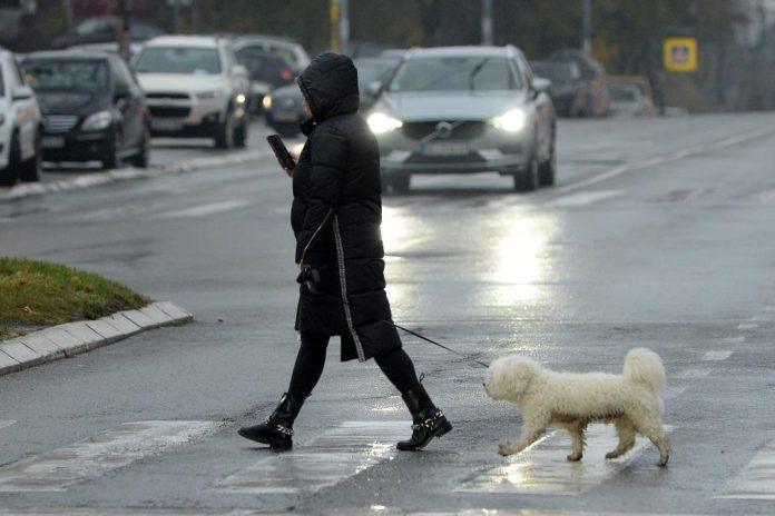 amss-upozorava-vozace:-vidljivost-smanjena-zbog-magle