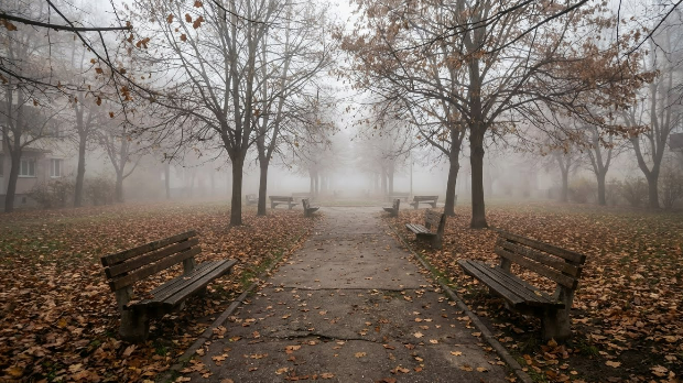 Ујутру-и-пре-подне-магла,-током-дана-претежно-сунчано-–-до-14-степени