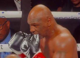 Tajson najavio spektakl: Majk u martu opet ulazi u ring! tajson-najavio-spektakl:-majk-u-martu-opet-ulazi-u-ring!