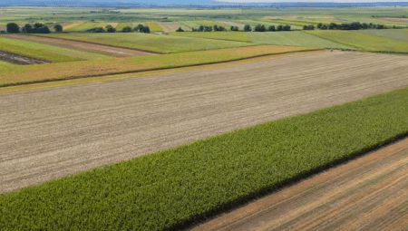 ko-sve-ima-pravo-da-konkurise-–-na-racunima-poljoprivrednika-vise-od-100-milijardi-dinara