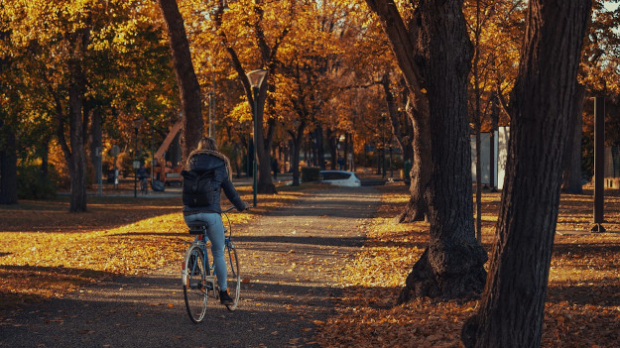 Јутарња-магла-и-слаб-мраз,-током-дана-сунчано,-највиша-дневна-температура-16-степени