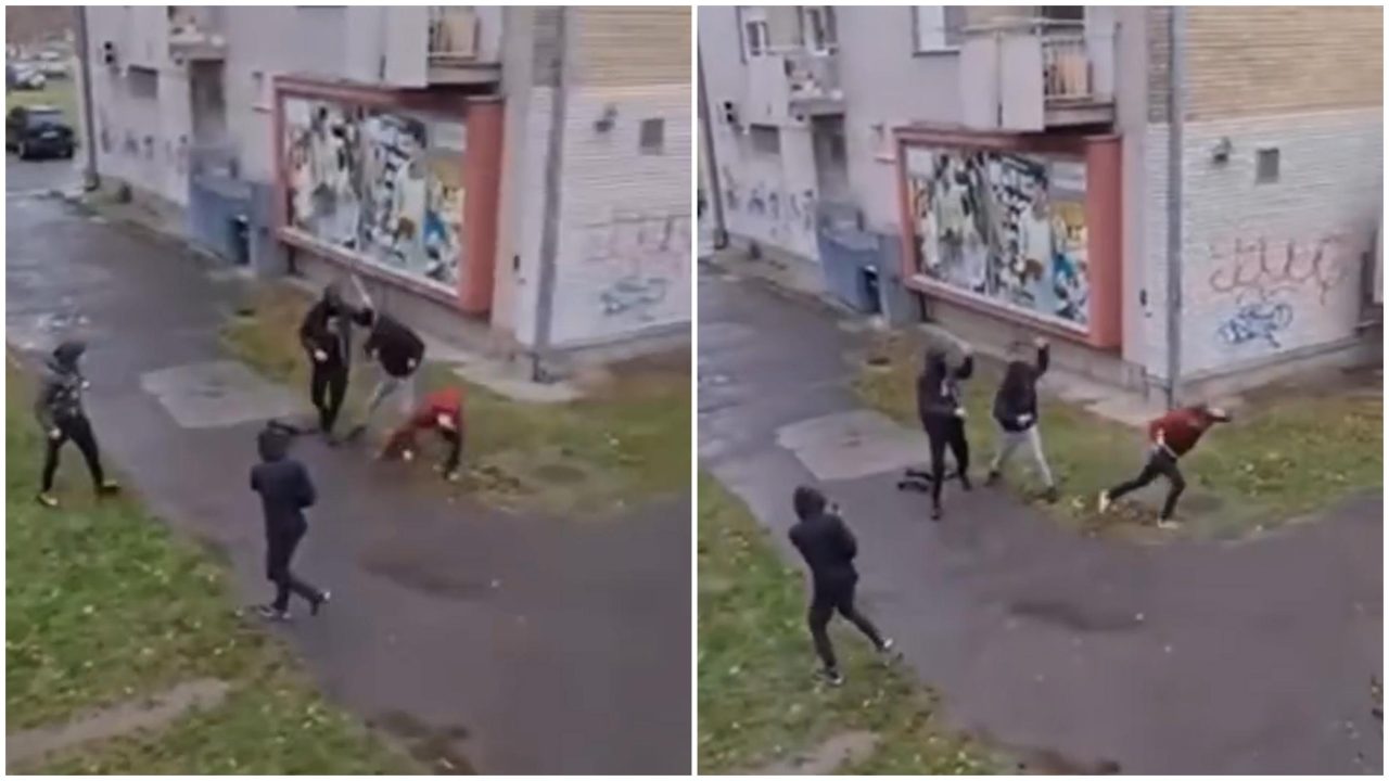 vjt-o-paljenju-atomobila-tuziteljki-iz-subotice:-napad-se-desava-u-vremenu-konstantnih-napada-na-rad-tuzilastva vjt-o-paljenju-atomobila-tuziteljki-iz-subotice:-napad-se-desava-u-vremenu-konstantnih-napada-na-rad-tuzilastva