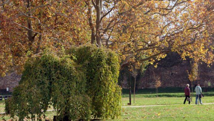 u-glavnom-gradu-magla,-a-evo-gde-se-ocekuje-sunce:-vremenska-prognoza-za-11.-decembar