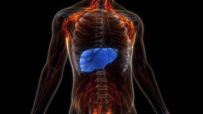 ovo-je-jasan-znak-da-vam-je-jetra-bolesna-–-objasnjava-doktor