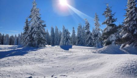 srpska-planina-o-kojoj-svi-pricaju-–-netaknuta-priroda,-cene-od-30-evra-i-prava-bajka-zimi
