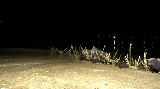 Извучено-тело-мушкарца-из-Саве-у-Сремској-Митровици Извучено-тело-мушкарца-из-Саве-у-Сремској-Митровици