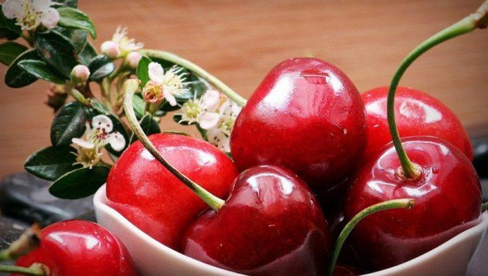 tresnja-“doktorka”:-da-li-ste-culi-za-ovu-sortu-–-evo-zasto-nosi-takav-naziv