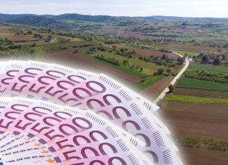 Kako zakupiti poljoprivredno zemljište na 15 godina: Ovaj grad otvara elektronske prijave za javno nadmetanje, evo ko ima pravo učešća kako-zakupiti-poljoprivredno-zemljiste-na-15-godina:-ovaj-grad-otvara-elektronske-prijave-za-javno-nadmetanje,-evo-ko-ima-pravo-ucesca