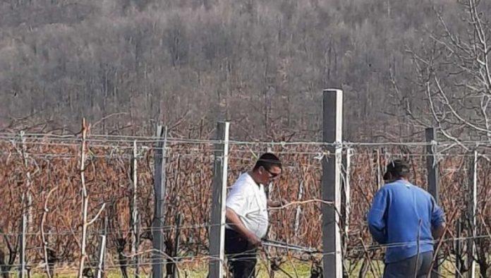 zimi-im-posao-cveta:-evo-koji-su-natrazeniji-mastori-u-srbiji