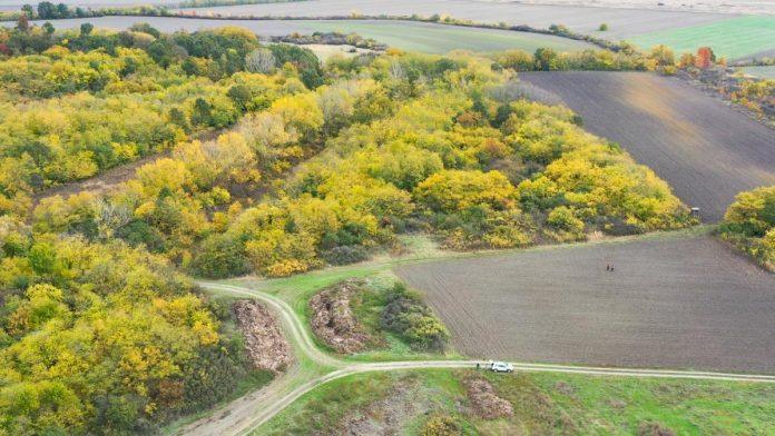 stvaranje-prvog-sumskog-rezervata:-slavujev-lug-–-suma-koju-su-sacuvali-ljubitelji-ptica