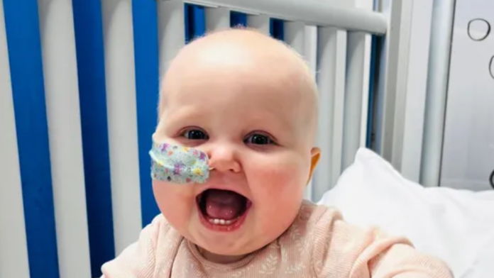 “rekli-su-da-vise-nista-ne-mogu-da-ucine”-beba-koja-boluje-od-retke-i-agresivne-leukemije-ima-jos-samo-nekoliko-nedelja-zivota-–-osim-ako-se-ne-prikupi-oko-560.000-evra