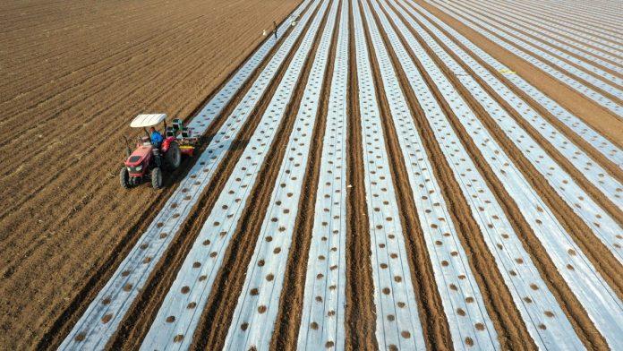 dao-otkaz-u-amazonu-i-okrenuo-leda-korporativnom-zivotu:-danas-vodi-uspesnu-farmu-lala-i-ne-odvaja-se-od-porodice