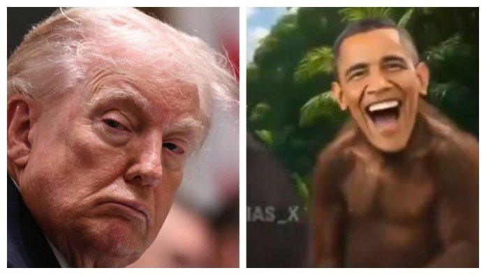 “majmunska-posla”-bela-kuca-i-crna-rupa-odgovornosti