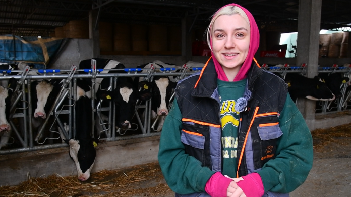 “na-farmu-sam-isla-po-kazni,-a-danas-je-vodim”-sofija-je-odrasla-sa-kravama,-sada-ima-450-grla:-“svakoj-znam-ime,-broj-i-saru”-(video)