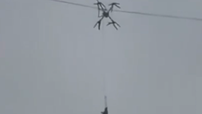 stocar-dronom-prenosio-prase-do-klanice,-pa-ostavio-celo-selo-bez-struje:-zivotinja-visila-na-dalekovodu-10-sati-(video)