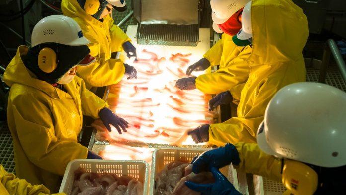 otisli-smo-da-radimo-na-aljasku-i-vratili-se-sa-15.000-dolara:-studenti-iz-beograda-odlicno-zaradili,-evo-kako-se-zaposliti-i-gde-se-prijaviti