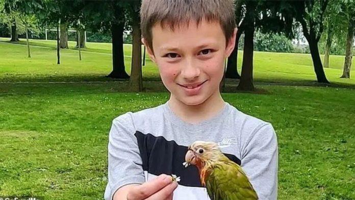 tinejdzer-ubio-decaka-(12)-dok-se-vracao-iz-skole-izbo-ga-u-parku,-pa-se-pretvarao-da-je-slucajno-nasao-njegovo-telo:-osuden-na-dozivotnu-robiju