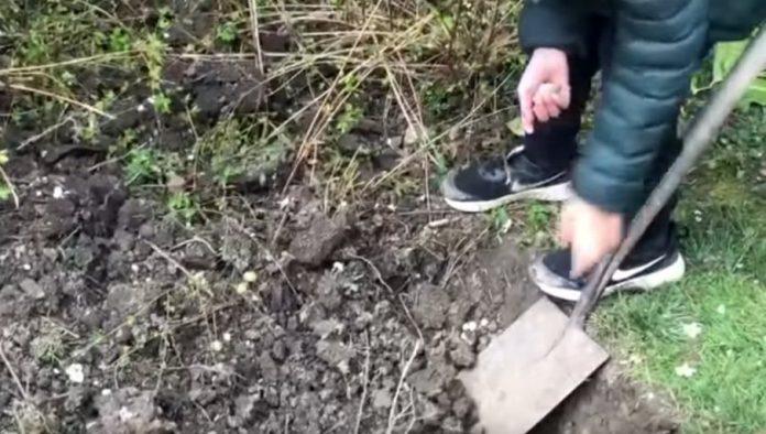 povrtari,-vec-sada-u-bastu:-evo-sta-treba-da-posejete-u-februaru-i-martu