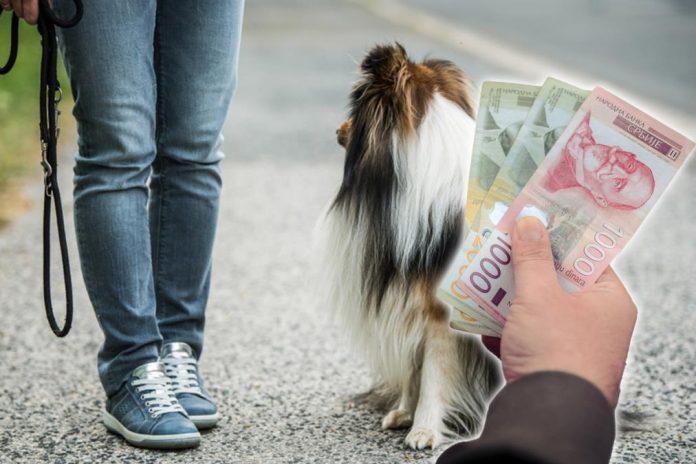“ti-bi-da-za-2-sata-setnje-dobijes-2.000-dinara?!”-milica-objavila-koliko-naplacuje-ovu-uslugu-pa-usledio-haos:-“bolje-da-cuvam-psa-nego-dete”