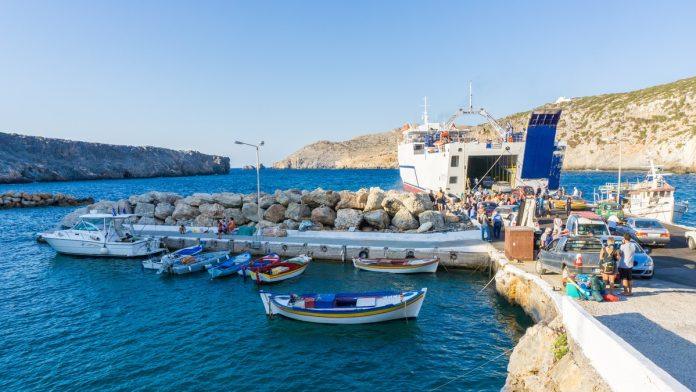 postoji-nacin-da-bez-dinara-letujete-u-grckoj!-ako-volite-ove-zivotinje-brckacete-se-u-moru-dzabe-mesec-dana:-evo-o-cemu-se-radi