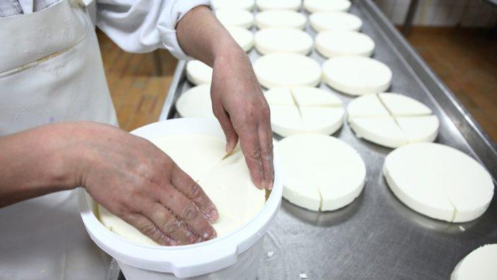 novi-program-podrske-za-preradu-mleka:-do-30.000-evra-za-“sirane”-u-hrvatskoj