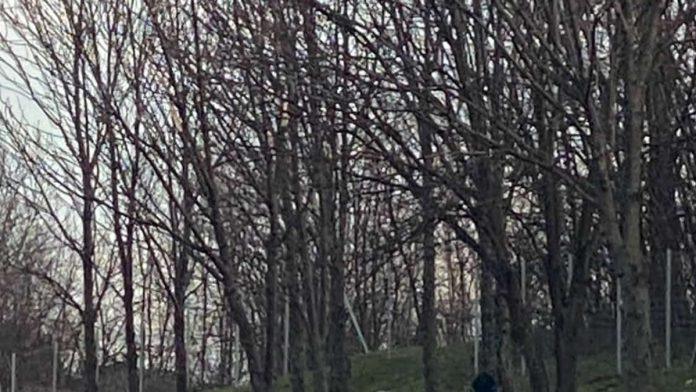 vozilo-zavrsilo-pored-puta-teska-nesreca-na-autoputu-kod-malog-mokrog-luga,-stvaraju-se-zastoji-(foto)