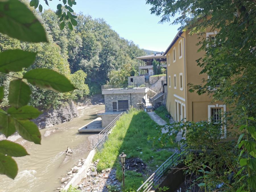 uzas-u-ivanjici!-psi-otrovani-sirom-grada,-pa-baceni-u-moravicu-–-gradani-u-soku:-“neko-je-to-uradio-namerno” uzas-u-ivanjici!-psi-otrovani-sirom-grada,-pa-baceni-u-moravicu-–-gradani-u-soku:-“neko-je-to-uradio-namerno”