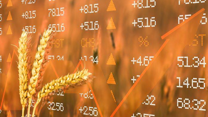 nizak-promet-i-pad-cena-na-produktnoj-berzi-u-novom-sadu