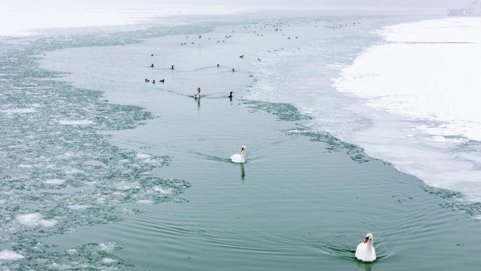 otkrivena-opasna-zaraza-na-popularnom-jezeru!-gradani-dobili-hitno-upozorenje,-a-evo-kako-se-prenosi