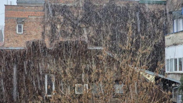 sneg-poceo-da-pada-u-beogradu:-prestonica-se-zabelela,-a-tek-stize-strmoglavi-pad-temperature-(foto/video)