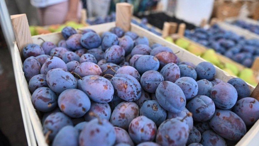 da-li-vreme-pogoduje-sljivama?-evo-kakav-se-rod-ocekuje-ove-godine da-li-vreme-pogoduje-sljivama?-evo-kakav-se-rod-ocekuje-ove-godine