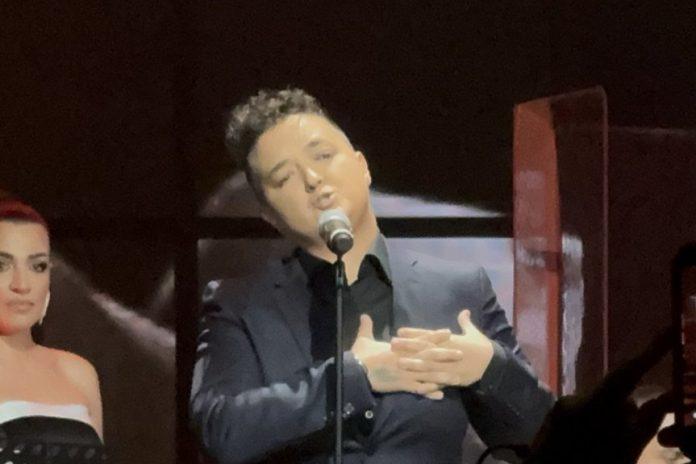 muk-u-velelepnoj-dvorani!-marija-serifovic-se-uhvatila-za-srce-–-emocije-je-savladale-na-sceni!-(video)