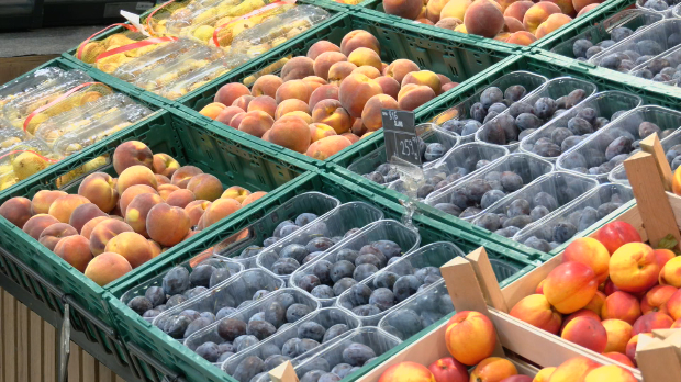 Цене-воћа-“отишле-у-небо”,-произвођачи-у-проблему-–-да-ли-је-Србија-заиста-у-ери-скупих-плодова