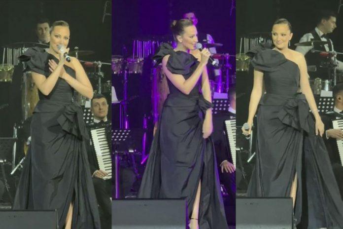 “i-ptice-na-grani-znaju-koliko…”:-aleksandru-prijovic-slomile-emocije-na-koncertu-u-cast-pokojnog-sabana-saulica!-(video)