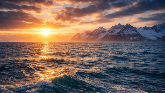 “neocekivano-otkrice-menja-istoriju-mora”-ribari-iz-mediterana-izvukli-zivotinju-za-koju-se-verovali-da-je-nestala-iz-ovog-regiona-(foto)