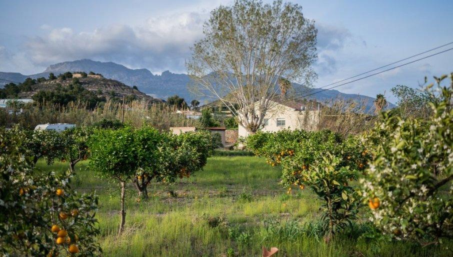 moze-li-poljoprivreda-spasiti-planetu:-jedan-film-je-dao-odgovor moze-li-poljoprivreda-spasiti-planetu:-jedan-film-je-dao-odgovor