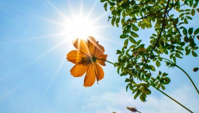 stize-nam-prolecno-vreme:-evo-kada-mozemo-ocekivati-20-stepeni