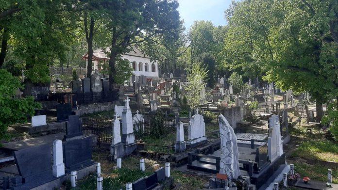 jazavci-sokirali-ivanjicane:-upadaju-na-groblje-i-kopaju-podzemne-hodnike,-sve-ih-je-vise,-a-steta-ogromna