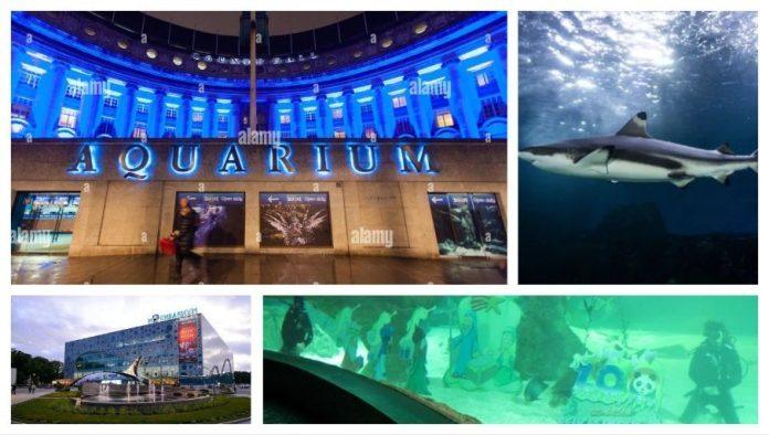 zasto-blokaderi-mrze-decu-srbije?-svetske-metropole-mogu,-a-beograd-ne!-ovo-su-veliki-gradovi-sirom-sveta-koji-imaju-akvarijume-(foto)