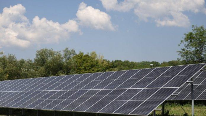 zaboravite-benzin-i-dizel:-ovo-su-goriva-koja-postaju-“slamka-spasa”-za-planetu-i-vas-novcanik