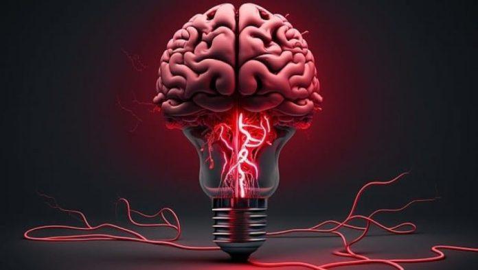 naucnici-upozoravaju:-samo-nekoliko-dana-lose-ishrane-lose-utice-na-pamcenje-i-mozak