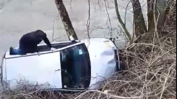 (video)-ivica-u-reci-video-jeziv-prizor,-odmah-je-pojurio-na-lice-mesta:-sada-je-heroj-bijelog-polja