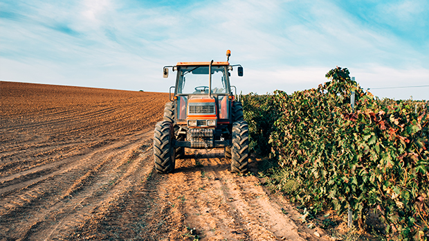 Нова-стратегија-пољопривреде-предвиђа-враћање-прехрамбеног-суверенитета-Србије Нова-стратегија-пољопривреде-предвиђа-враћање-прехрамбеног-суверенитета-Србије