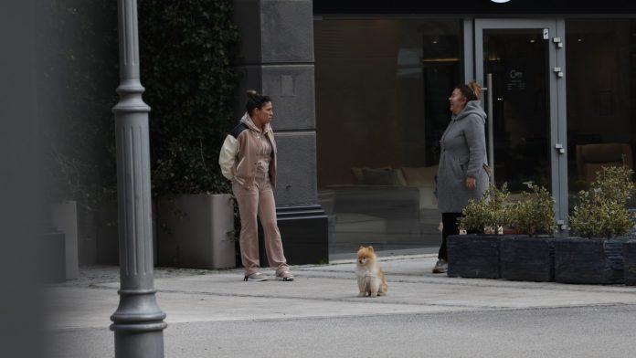 mama-seta-psa-dok-milica-brine-o-bebi-majka-pevacice-se-ne-odvaja-od-nje-nakon-porodaja:-srela-sandru-afriku-ispred-zgrade,-a-pokloni-samo-pristizu-(video)