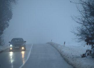 SADA JE SIGURNO – ZIMA JE GOTOVA! Neverovatan prizor na Tari potvrdio ono što su svi čekali da čuju sada-je-sigurno-–-zima-je-gotova!-neverovatan-prizor-na-tari-potvrdio-ono-sto-su-svi-cekali-da-cuju